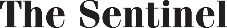 website logo